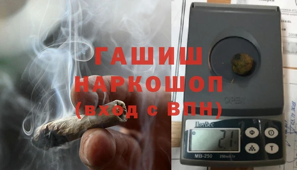 индика Алагир