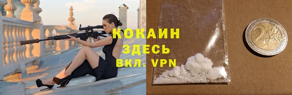 индика Алагир