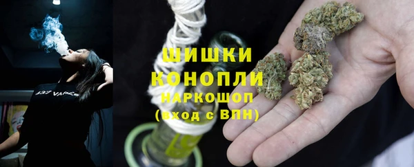 индика Алагир