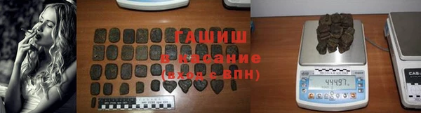 индика Алагир