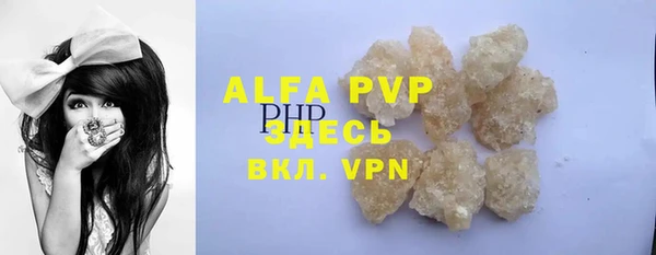 индика Алагир