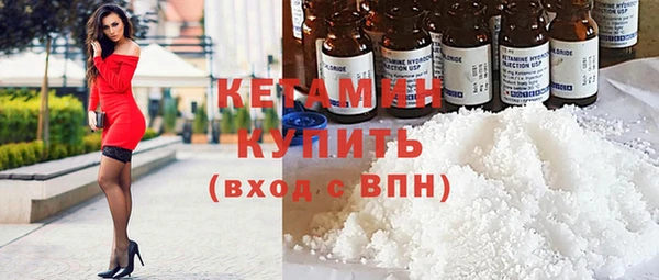 индика Алагир