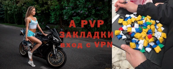 индика Алагир