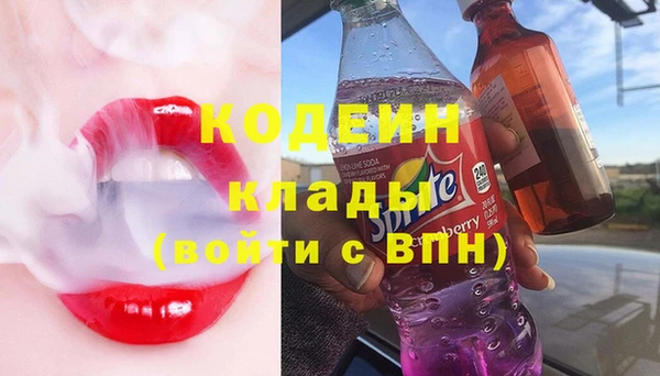 индика Алагир