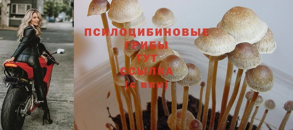 твердый Аксай