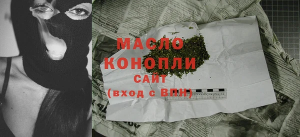 индика Алагир