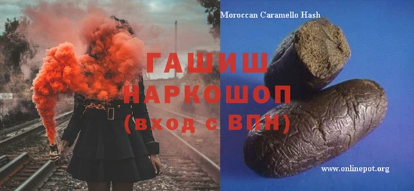 индика Алагир