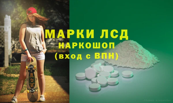 индика Алагир