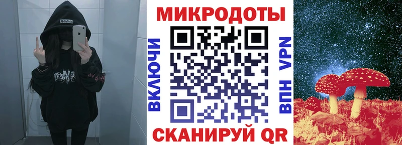 Псилоцибиновые грибы Psilocybine cubensis  Дубовка 